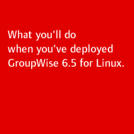 GroupWise 6.5 for Linux